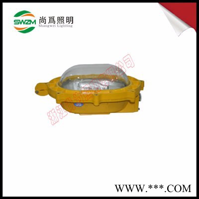 SW8101防爆无极灯+透光性  透雾性好 尚为照明图4