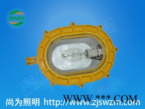 SW8101防爆无极灯+透光性  透雾性好 尚为照明图3