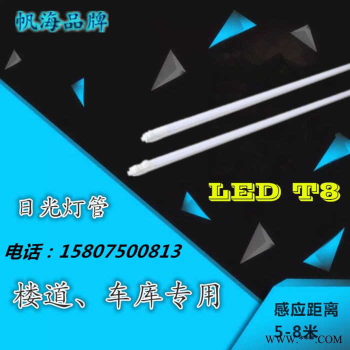 帆海品牌T8感应灯管 一体化灯管车库感应灯管 人体感应雷达感应灯管图1