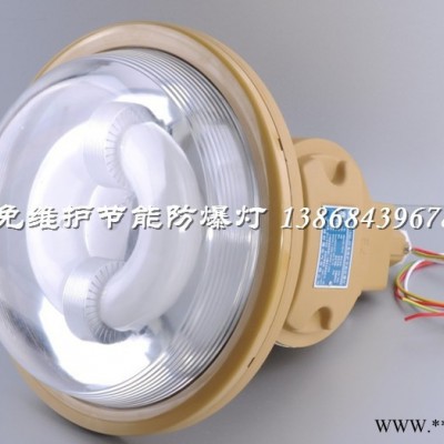 SBD1103-YQL50E防爆无极灯