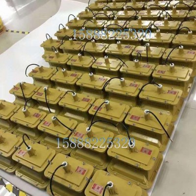 直销SBD1101免维护节能防爆灯 防爆无极灯 SBD1101-YQL50                灯具防