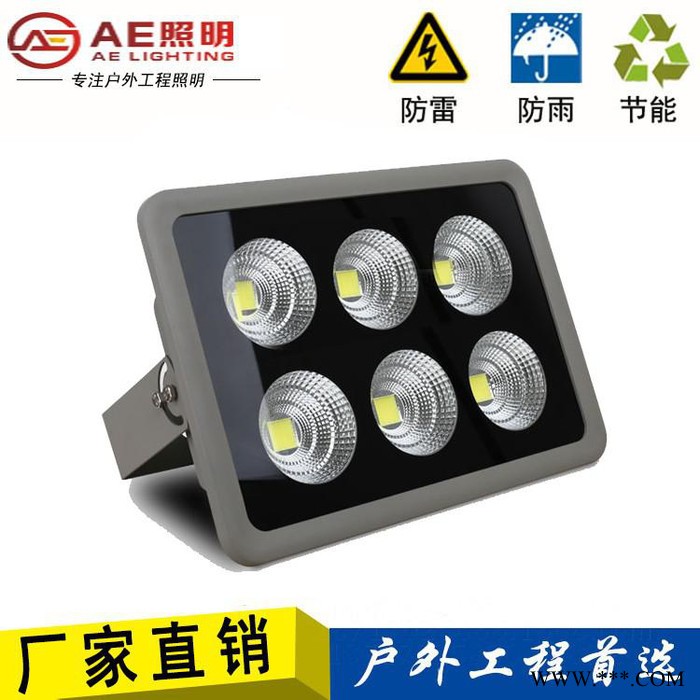 AE照明AE-SD-01遂道灯投光灯,投光灯,展会遂道灯,AE遂道灯,户外投光灯led隧道灯广场投射灯投光灯聚光泛光灯户图2