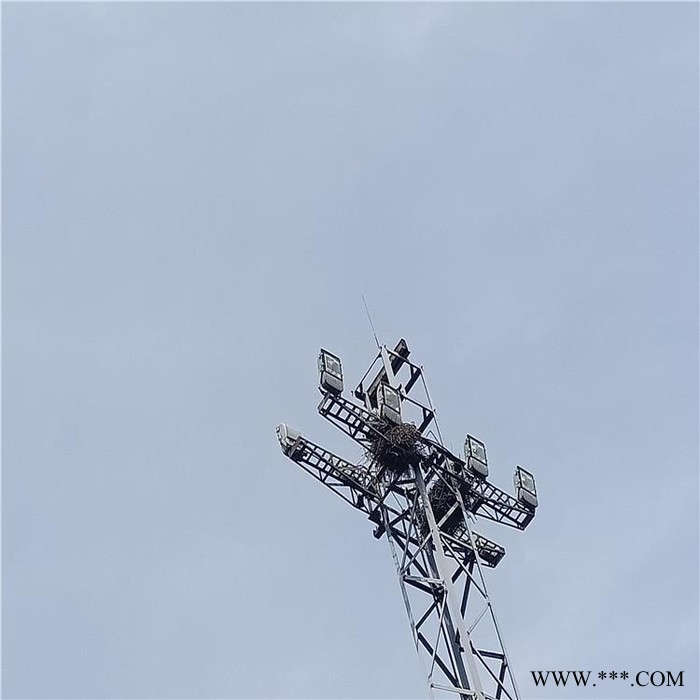 富航 升降式投光灯塔 铁路货场投光灯塔 固定式货场投光灯塔图3
