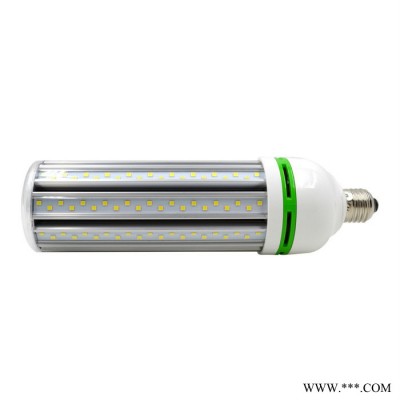 深圳30W鳍片LED玉米灯 庭院灯小路灯 LED玉米灯价格 LED投光灯