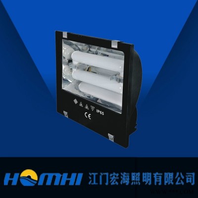 宏海照明HH-DGF002无极灯 高悬灯 工矿灯 工厂车间 节能高效 5年质保 信心之选