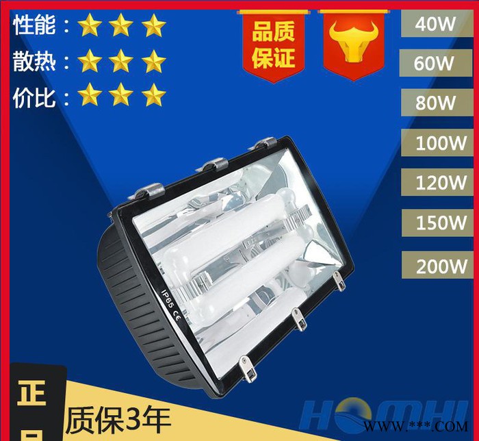 推荐广东无极灯泛光洗墙投射灯大功率户外广告防水树底方形投光灯图1