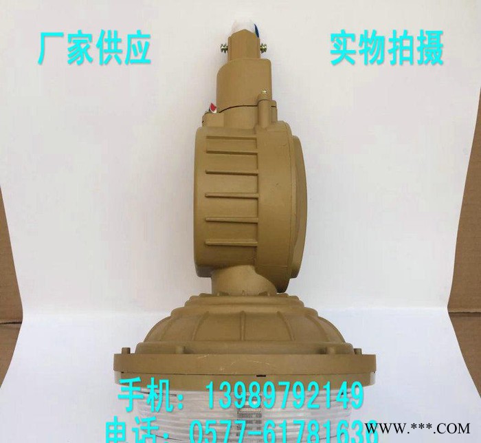 SBD1103-YQL50C1吸壁式防爆无极灯 50W免维护图3
