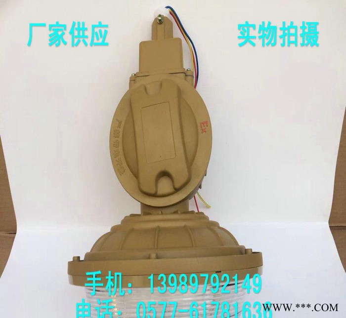 SBD1103-YQL50C1吸壁式防爆无极灯 50W免维护图2