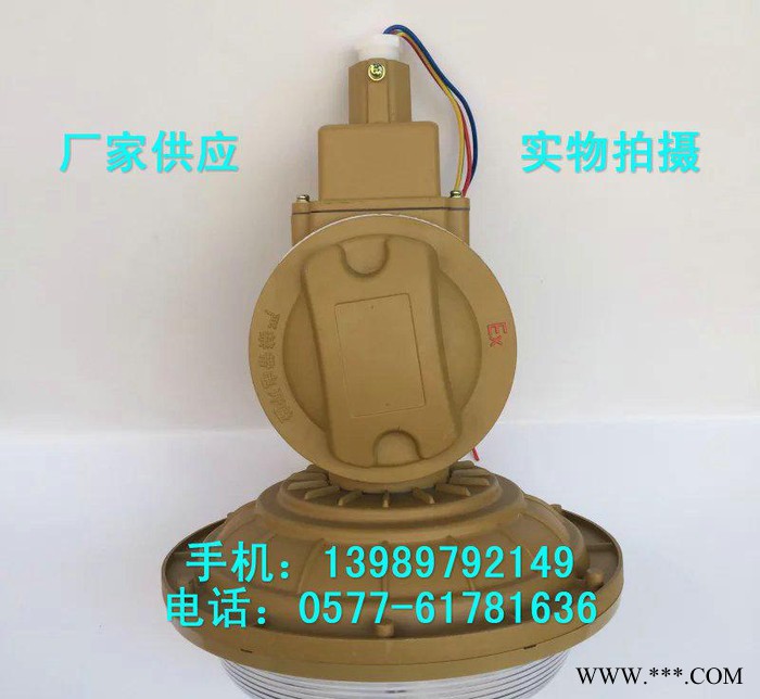 SBD1103-YQL50C1吸壁式防爆无极灯 50W免维护图1