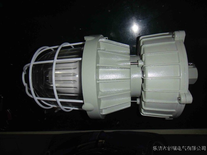 南宁海洋王LED防爆灯 LED防爆泛光灯 LED防爆投光灯WID9110隔爆型无极灯图3