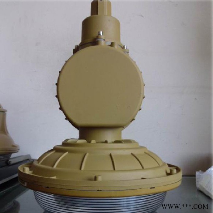 SBD1102高效节能低频无极灯 三防防爆灯具 电磁感应灯图2