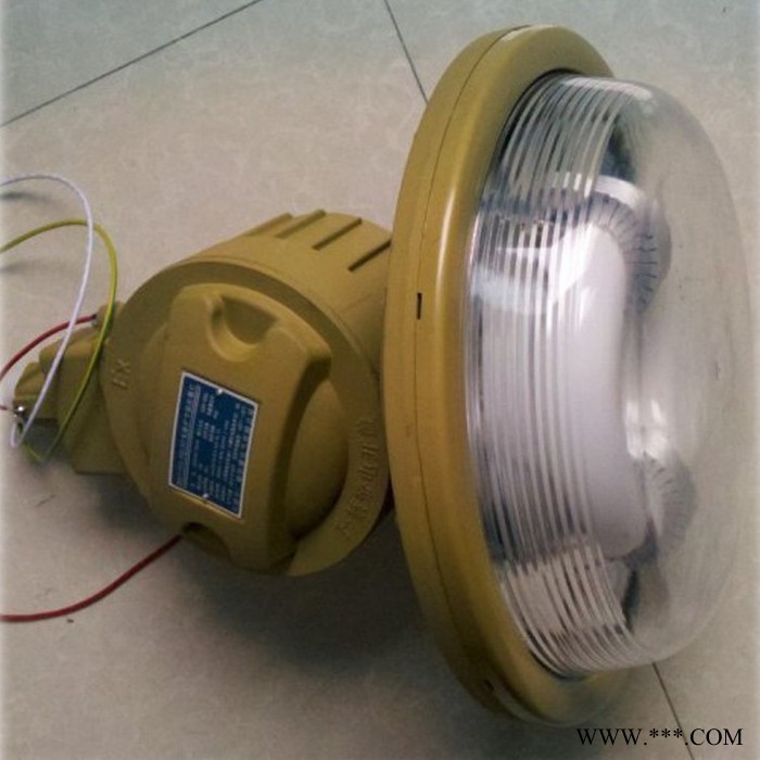 SBD1102高效节能低频无极灯 三防防爆灯具 电磁感应灯图3