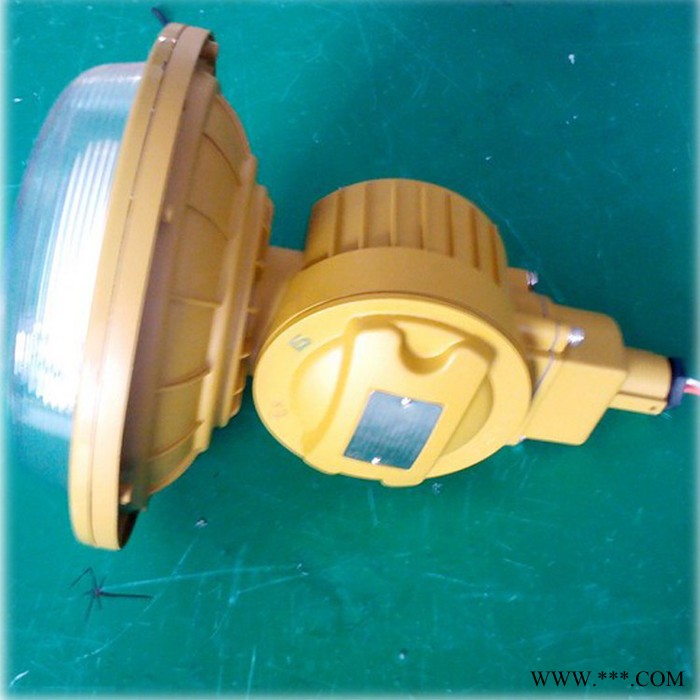 SBD1102高效节能低频无极灯 三防防爆灯具 电磁感应灯图4