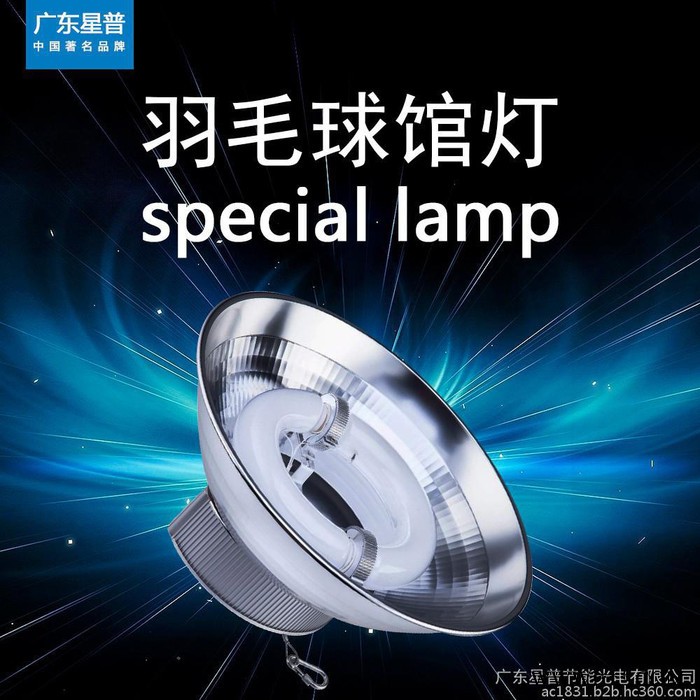 批发 XPES星普低频无极灯工矿灯 100W 200W不刺眼 工厂灯无极灯图6