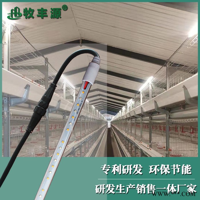 晶瑞照明T5家禽灯养鸡灯管养鸭灯管养猪灯管养殖LED灯管黄蓝切换灯管T5LED黄光蓝光切换双色灯管图5