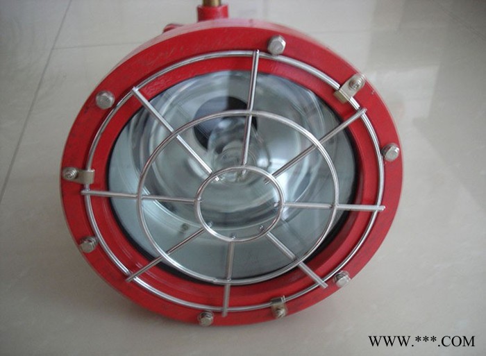 DGC175/127防爆投光灯 矿用隔爆型投光灯厂家图5