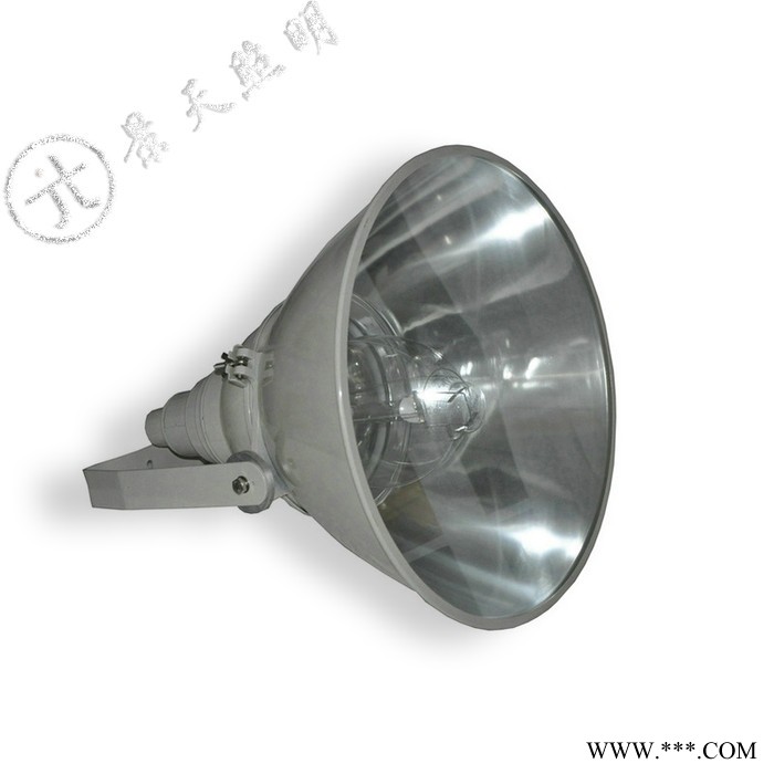 NTC9210防震型投光灯/海洋王投光灯/400W-250W  NTC9210图2