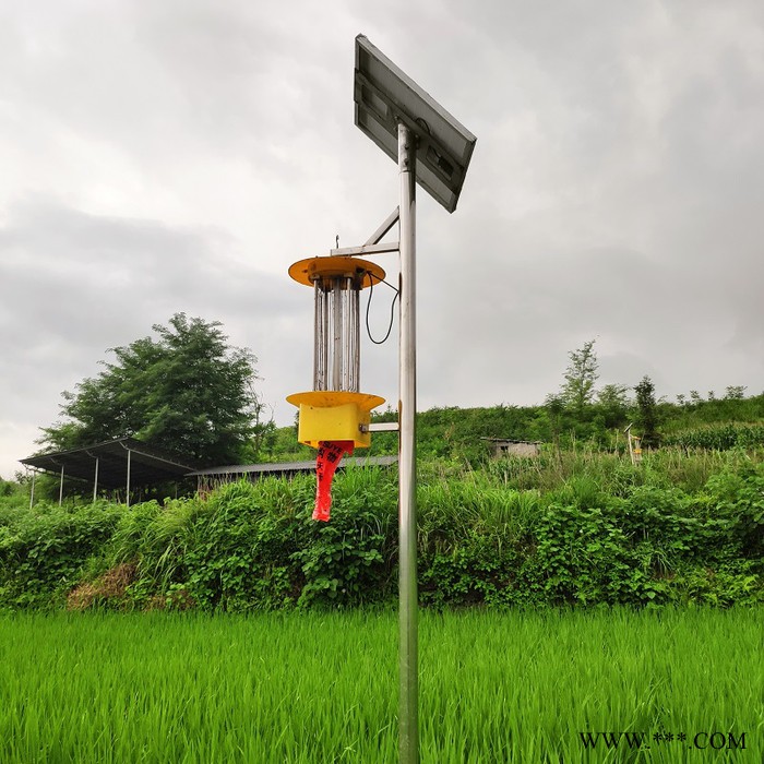 厂家供应12V30Ah锂电池太阳能路灯投光灯广告灯箱杀虫灯储能电池