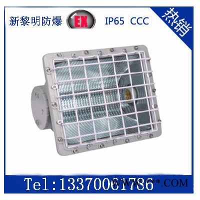供应BTD 防爆泛光灯，新黎明防爆泛光灯，一体式防爆投光灯 LED防爆泛光灯