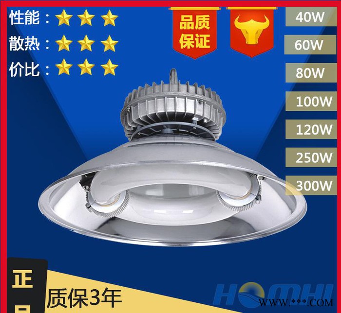 广东低频无极工矿 高悬灯 40/60/80/100/120W无极灯照明直销图3