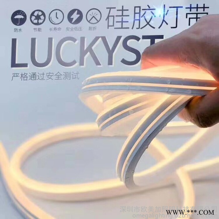 **LED霓虹灯带2835灯珠图4