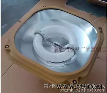 森本防爆 SBD1130 150W 免维护节能防爆泛光灯 防爆无极灯 防爆灯图2