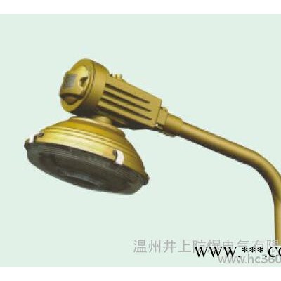 SBR1120免维护节能防爆道路灯防爆马路灯150瓦无极灯1