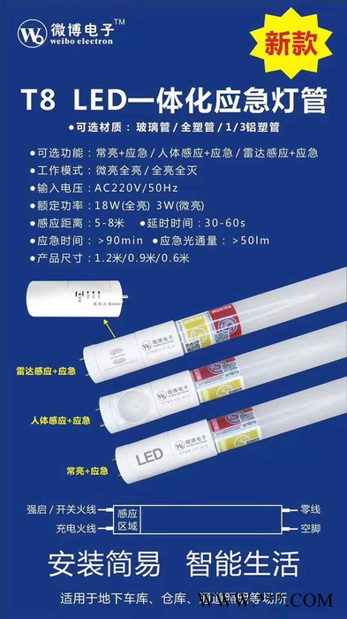 汶莱T8 应急灯 应急灯管 一体化应急灯管 LED灯图2