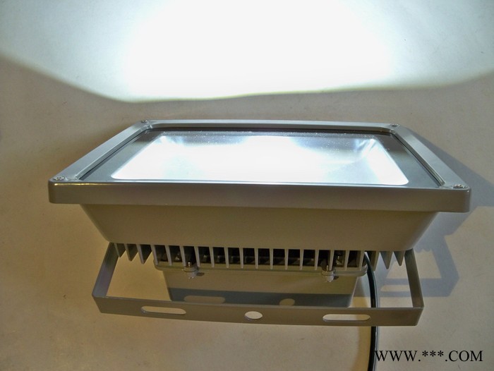 亮府LYTG100AW036028S LED投光泛光灯 户外防雨防尘LED投光泛光灯 LED投光灯COB图5
