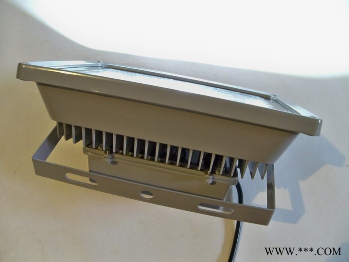 亮府LYTG100AW036028S LED投光泛光灯 户外防雨防尘LED投光泛光灯 LED投光灯COB图3