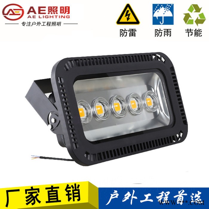 AE照明AE-SDD-02户外射灯,led投光灯,工矿路灯led投光灯户外射灯250W500瓦工矿路灯室外投射照明 高亮图2