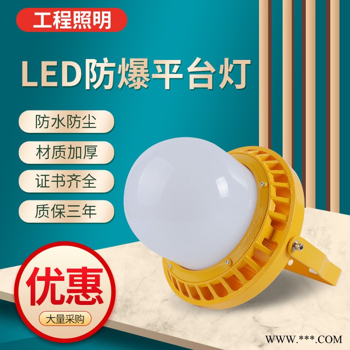 YOOYUBAD-206 LED粉尘防爆灯气体防爆灯投光灯泛光灯照明灯三防灯