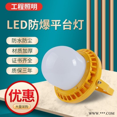 YOOYUBAD-206 LED粉尘防爆灯气体防爆灯投光灯泛光灯照明灯三防灯