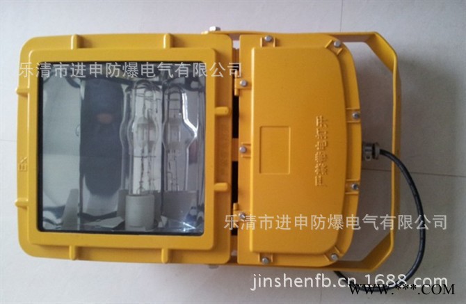 BAT81防爆防腐泛光灯 防爆泛光灯图3