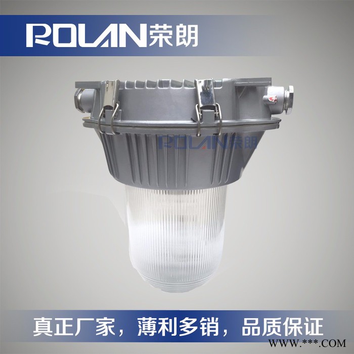 荣朗NFC9180防眩泛光灯 100W弯杆泛光灯图3