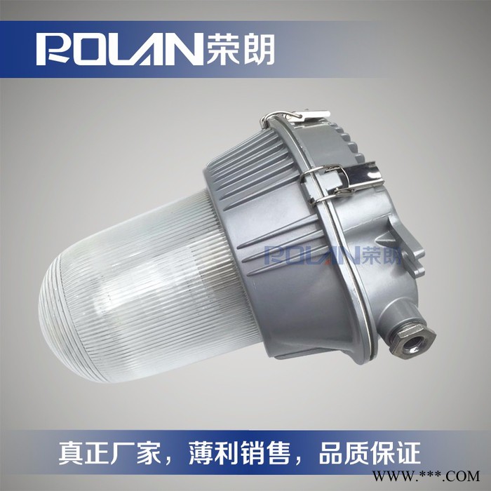 荣朗NFC9180防眩泛光灯 100W弯杆泛光灯图2