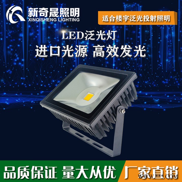 新奇晟照明LED泛光灯50W大功率户外防水led投射灯草坪园林照树灯图1