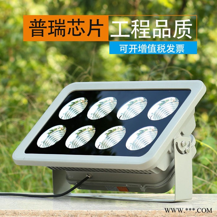 AE照明AE-TGD-03 蓝球场灯 蓝球场投光灯 投光灯 泛光灯图2