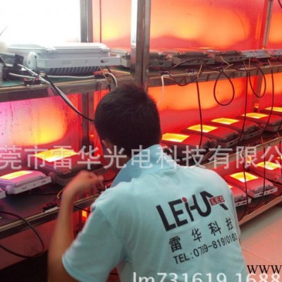 LED投光灯、泛光灯、射灯 80w集成投光灯 IP65防水