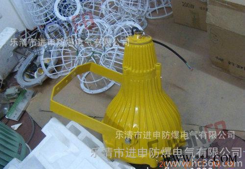 防爆投光灯 BAD5050防爆投光灯图1