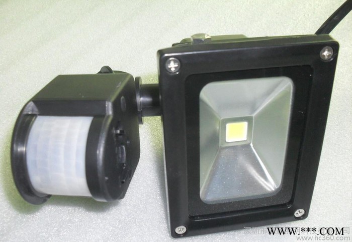 LED泛光灯10W    人体感应泛光灯10W   感应式泛图1