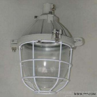 BCD-100A系列防爆灯,防爆荧光灯,投光灯,白炽灯,LED灯