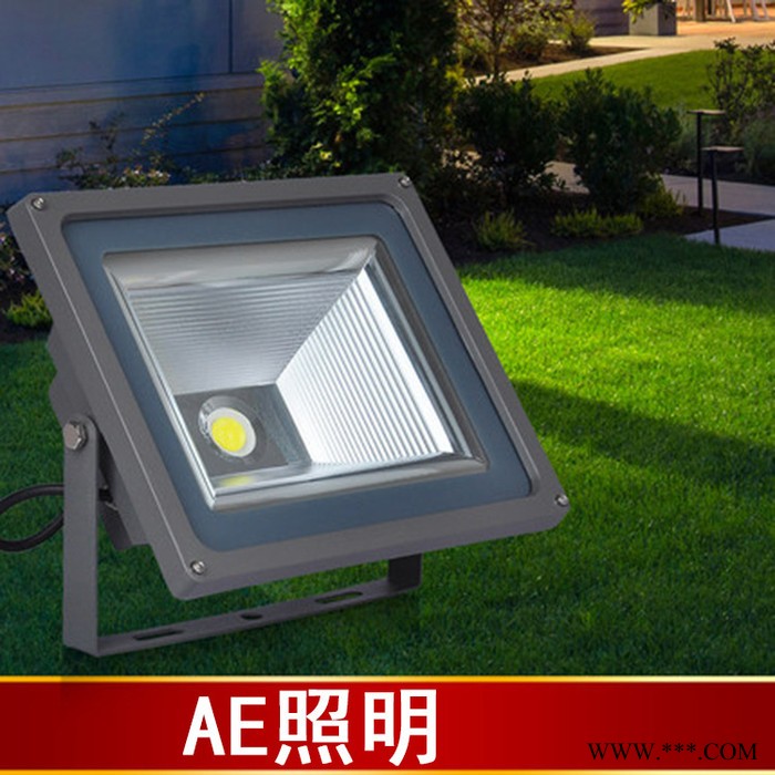 其他AE-TG-03户外灯具,户外防水灯具,防水灯具COB投光灯隧道灯户外防水灯具路灯广告灯墙体仓库泛光灯50W图1