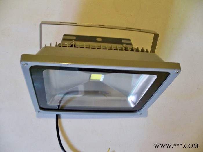 220伏50瓦led亮化照明用泛光灯 50瓦LED投光泛光灯 LED集成投光泛光灯 IP65户外防雨投光泛光灯图5