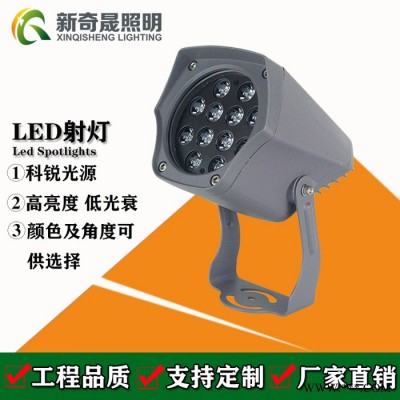 新奇晟照明led户外射灯12W18W24W大功率led投光灯景观射树灯LED投射灯厂家