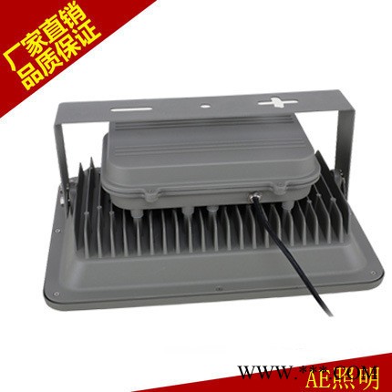 AE照明超亮款300W瓦 集成led投光灯户外室外广告灯路灯照树投射灯图3