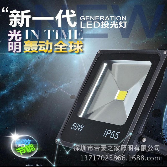 AE照明AE-TGD-02户外投光灯,防水泛光灯10W20W30W50W100W图2