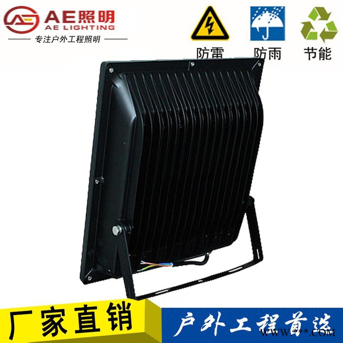 AE照明AE-TGD-02户外投光灯,防水泛光灯10W20W30W50W100W图4