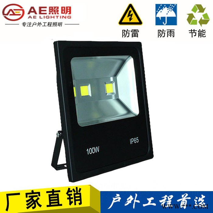 AE照明AE-TGD-02户外投光灯,防水泛光灯10W20W30W50W100W图3