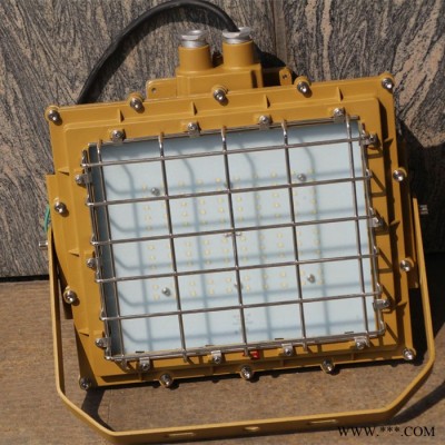 ZAD419LF-40220矿用隔爆型LED投光灯